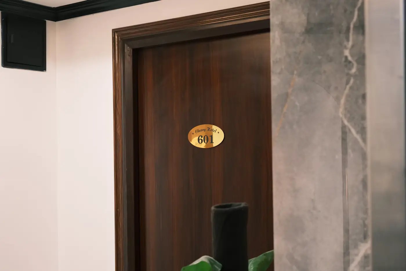 Bloc-porte coupe-feu en bois